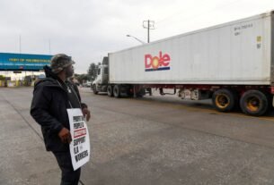 us-port-strike-disrupts-hamburger-supplies,-frozen-seafood