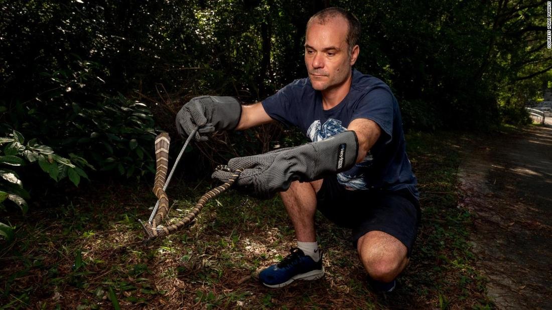 bamboo-vipers-and-many-banded-kraits:-experiencing-hong-kong’s-snake-safari