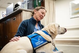 dogs-paired-with-providers-at-hospitals-help-ease-staff-and-patient-stress