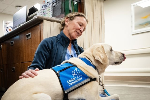 dogs-paired-with-providers-at-hospitals-help-ease-staff-and-patient-stress