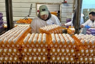 on-the-front-lines-against-bird-flu,-egg-farmers-say-they’re-losing-the-battle