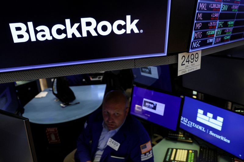 blackrock-to-reassess-australian-exposure-amid-stretched-valuations,-weak-growth