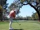 the-most-hated-tree-in-golf-is-back