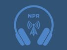 autism-community-advocate-reacts-to-rfk-jr.-autism-announcement