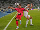 who-has-qualified-for-the-2026-world-cup?