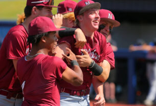 steal-of-home-helps-newark-baseball-beat-liberty-in-regional-semifinal