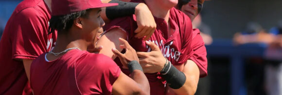 steal-of-home-helps-newark-baseball-beat-liberty-in-regional-semifinal