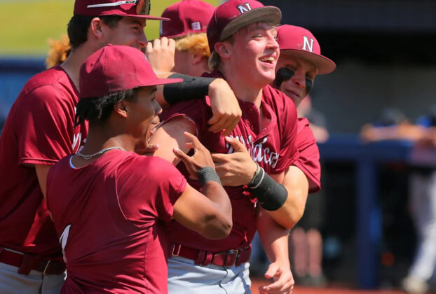 steal-of-home-helps-newark-baseball-beat-liberty-in-regional-semifinal