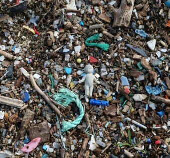 microscopic-plastic-levels-far-higher-in-those-who-suffer-strokes,-study-finds