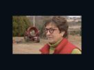 she-made-a-promise-to-her-husband-to-keep-their-tree-farm-going