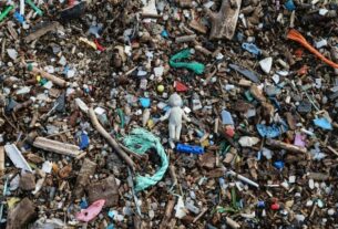 microscopic-plastic-levels-far-higher-in-those-who-suffer-strokes,-study-finds