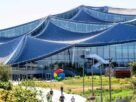 google-parent-stock-drops-on-fears-it-could-lose-search-market-share-to-ai-powered-rivals